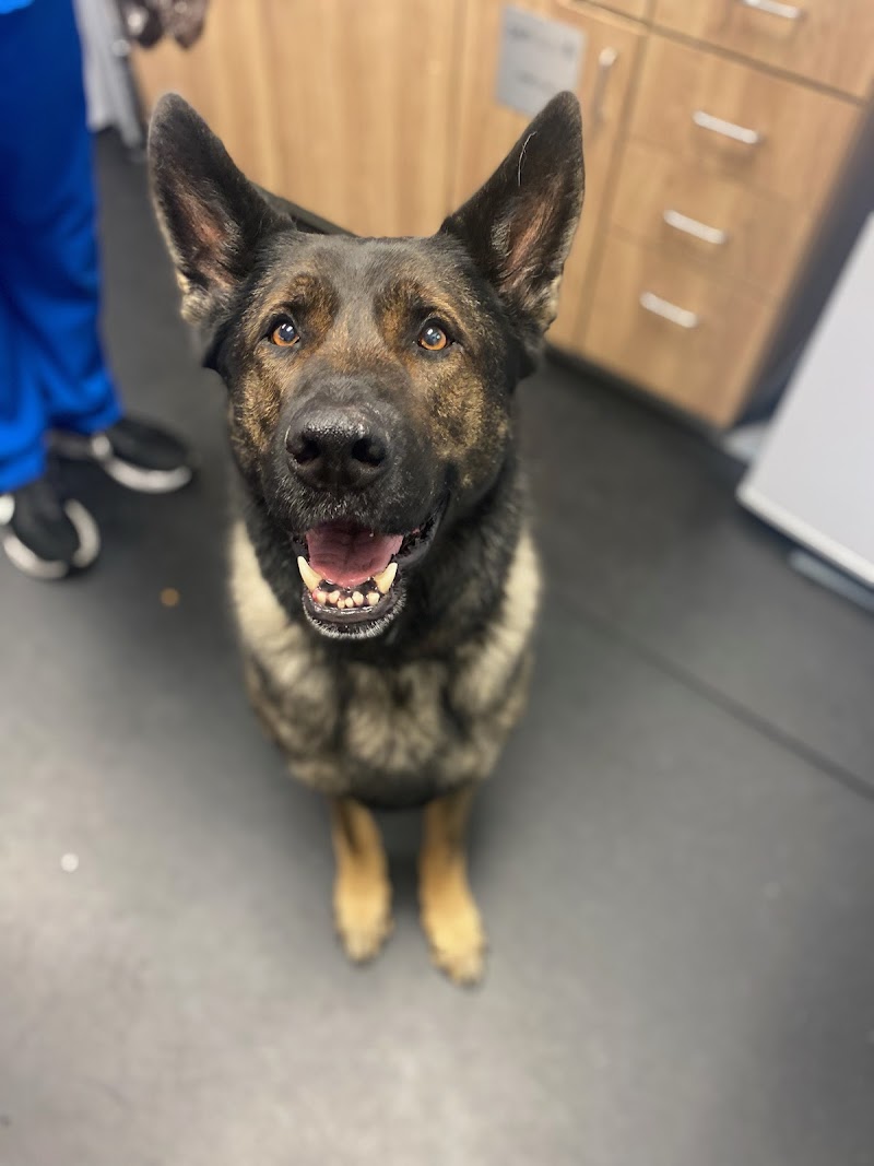 Pet Health Animal Hospital photo 3