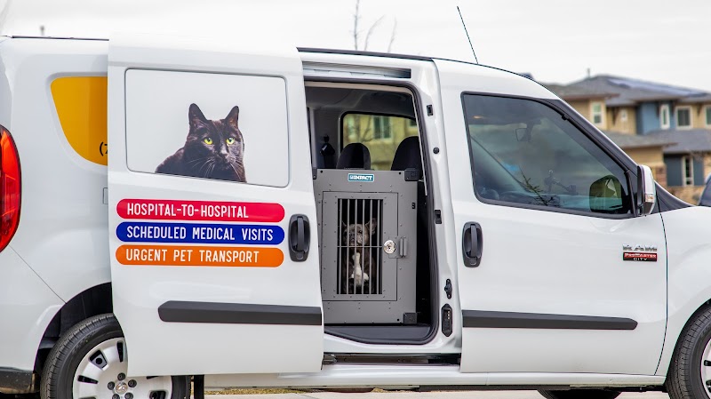 Pet Medical Transport photo 2
