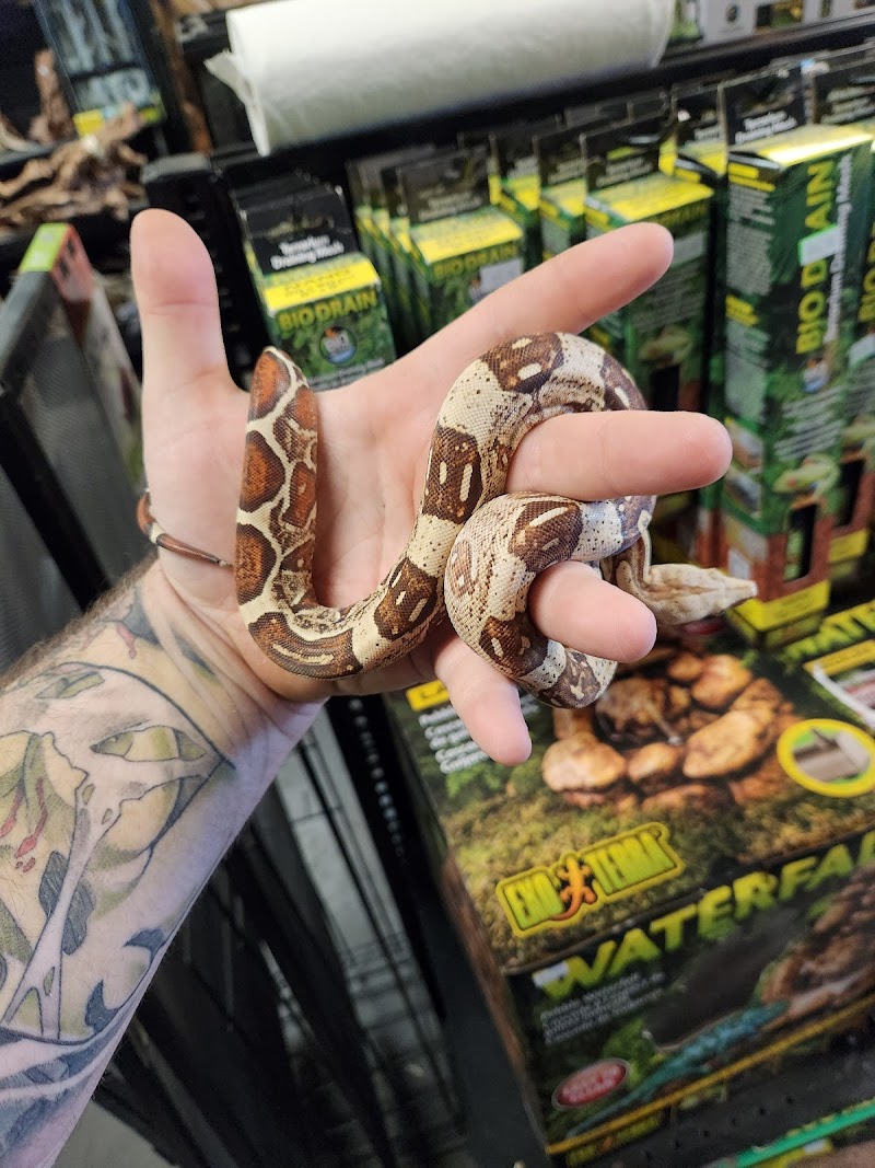 Pet Planet LLC photo 2