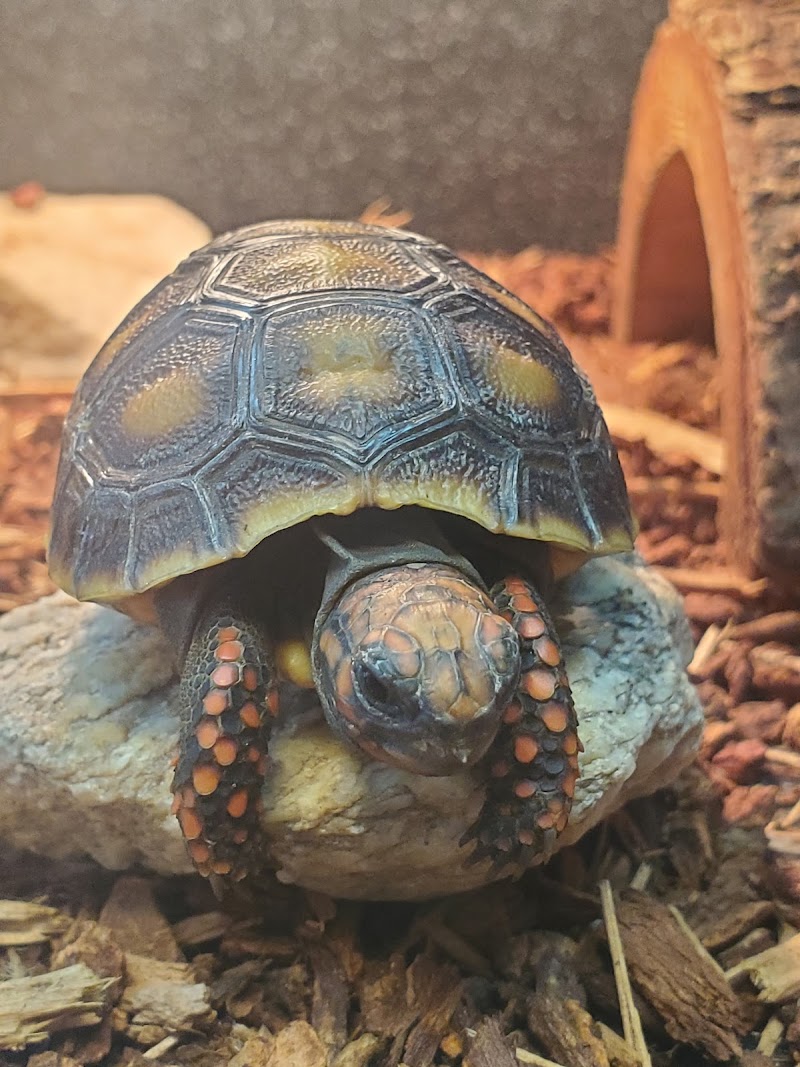 Pet Planet LLC photo 3