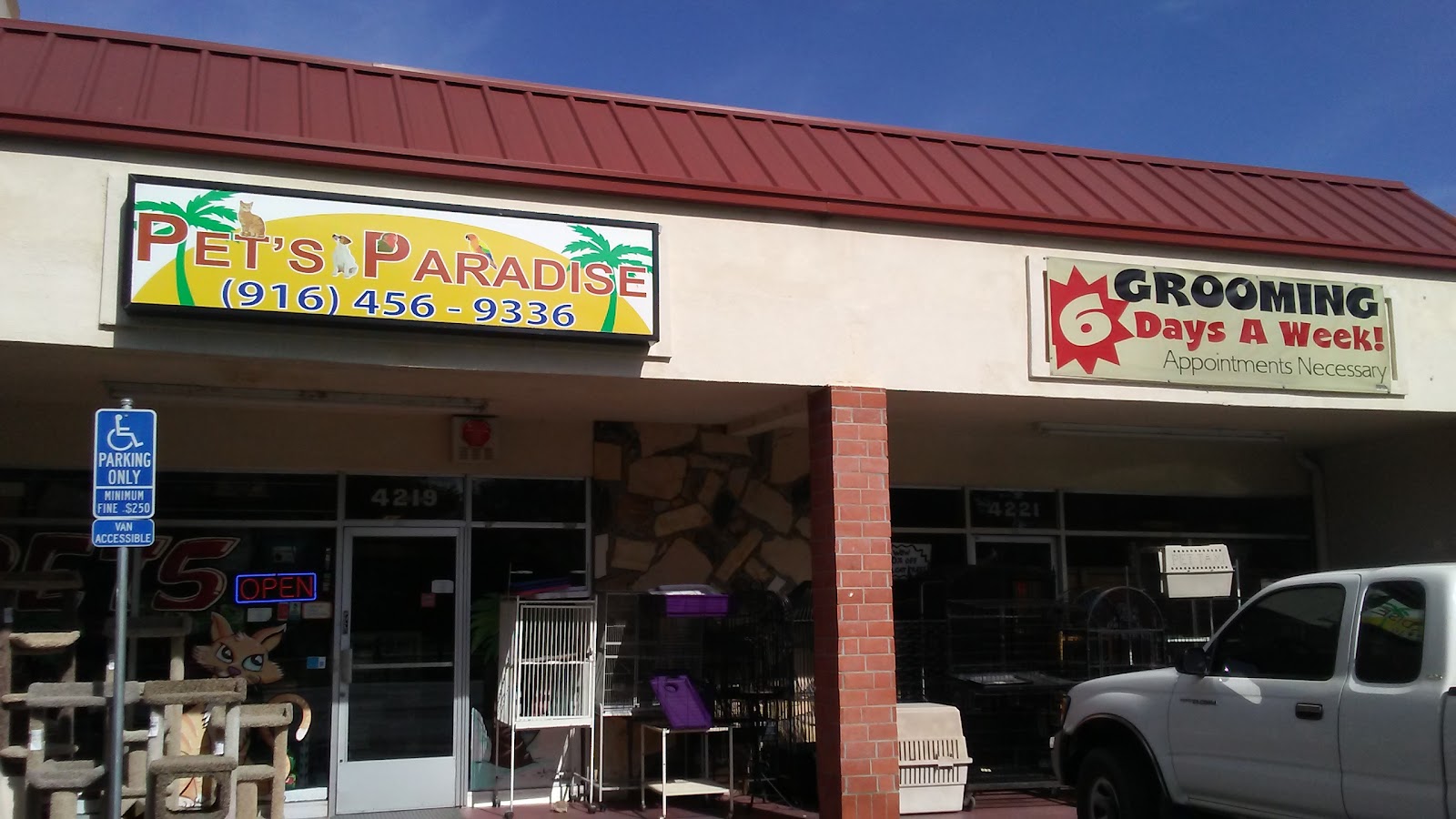 Pet's Paradise