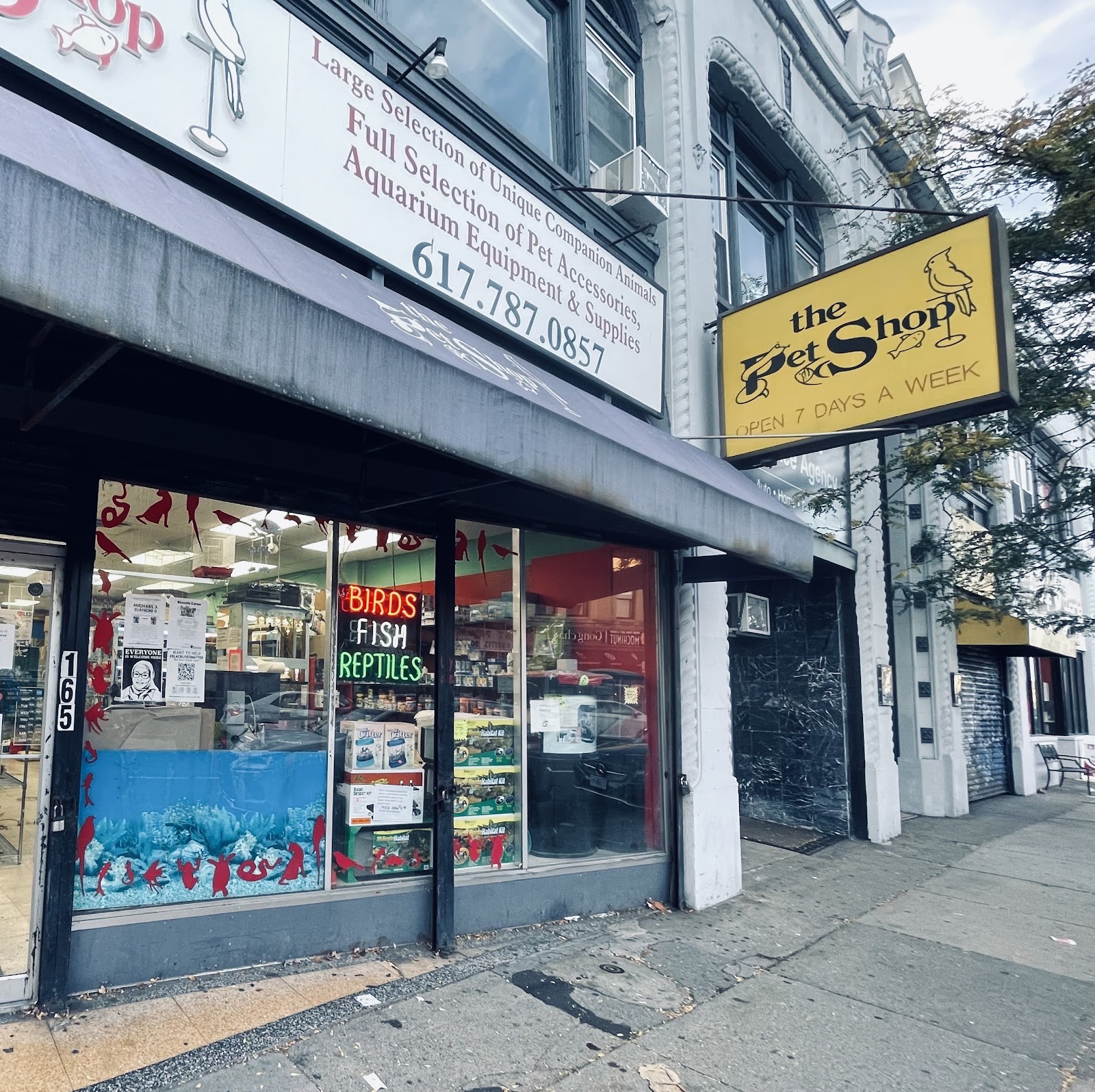 Pet Shop