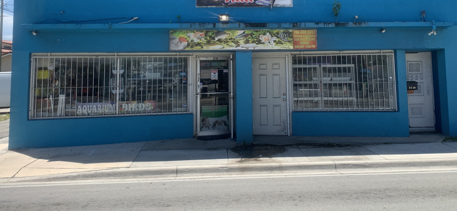 Pet Shop EddyRolex Dj Corp