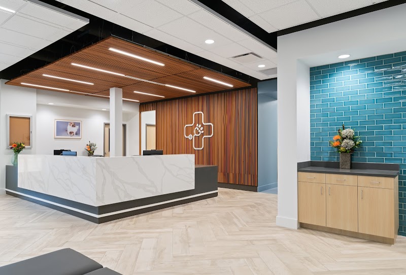 Pet Specialists of Austin photo 2