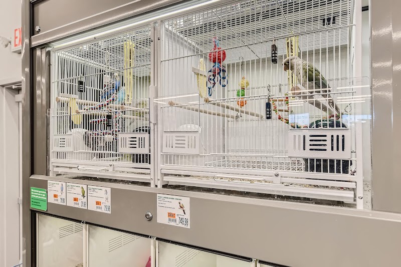 Pet Supplies Plus Las Vegas - Mountains Edge photo 2