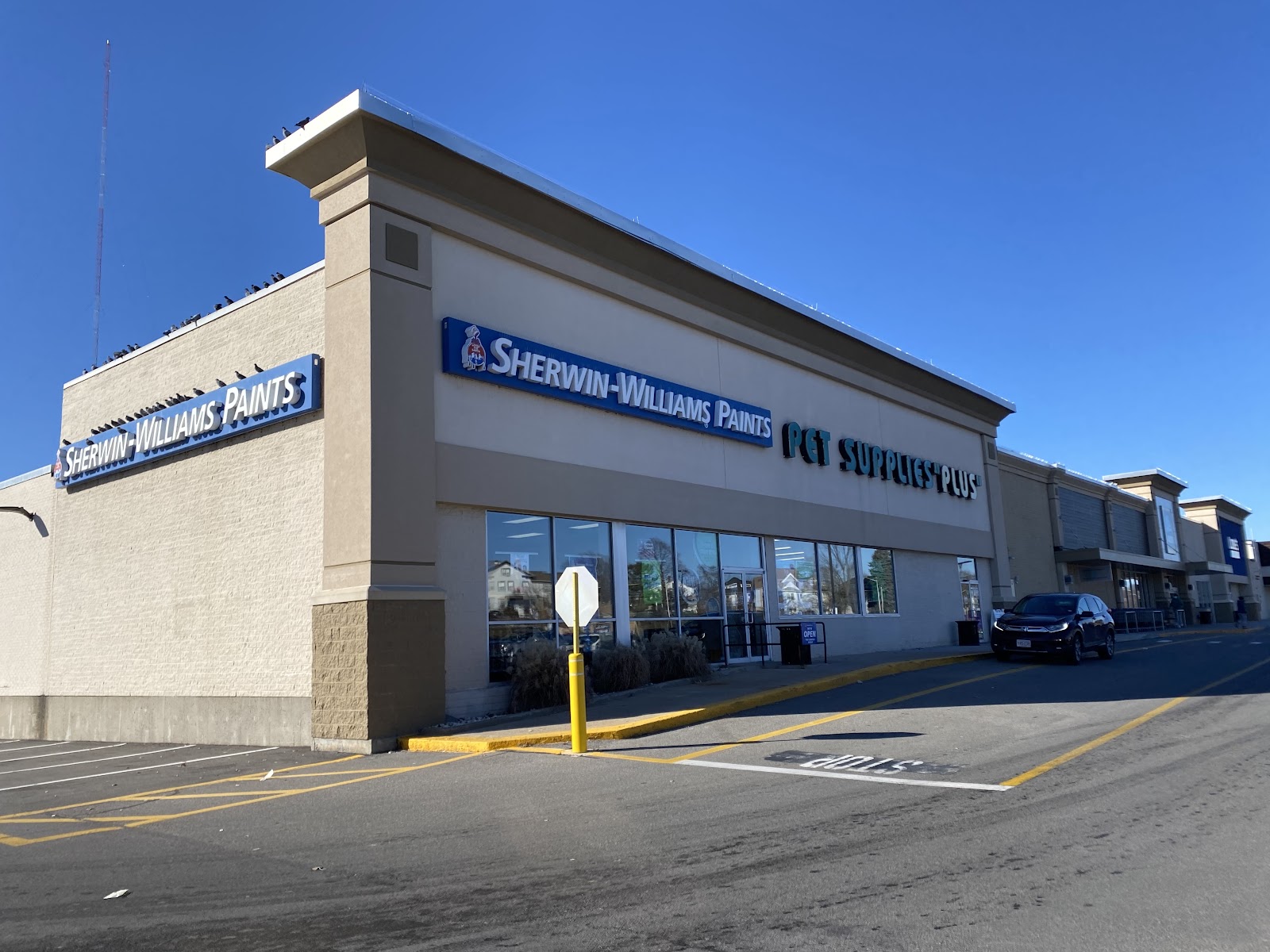 Pet Supplies Plus Medford