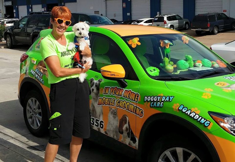 Pet Travel Agents Shipping and Recieving Service