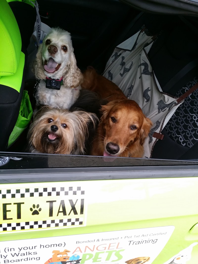 Pet Travel Agents Shipping and Recieving Service photo 3