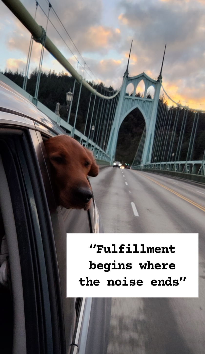 PetFriendly Portland Adventures