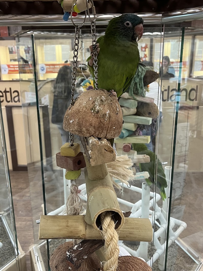 Petland Las Vegas photo 2