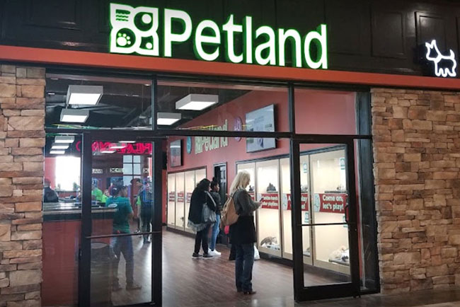 Petland Mall of Georgia