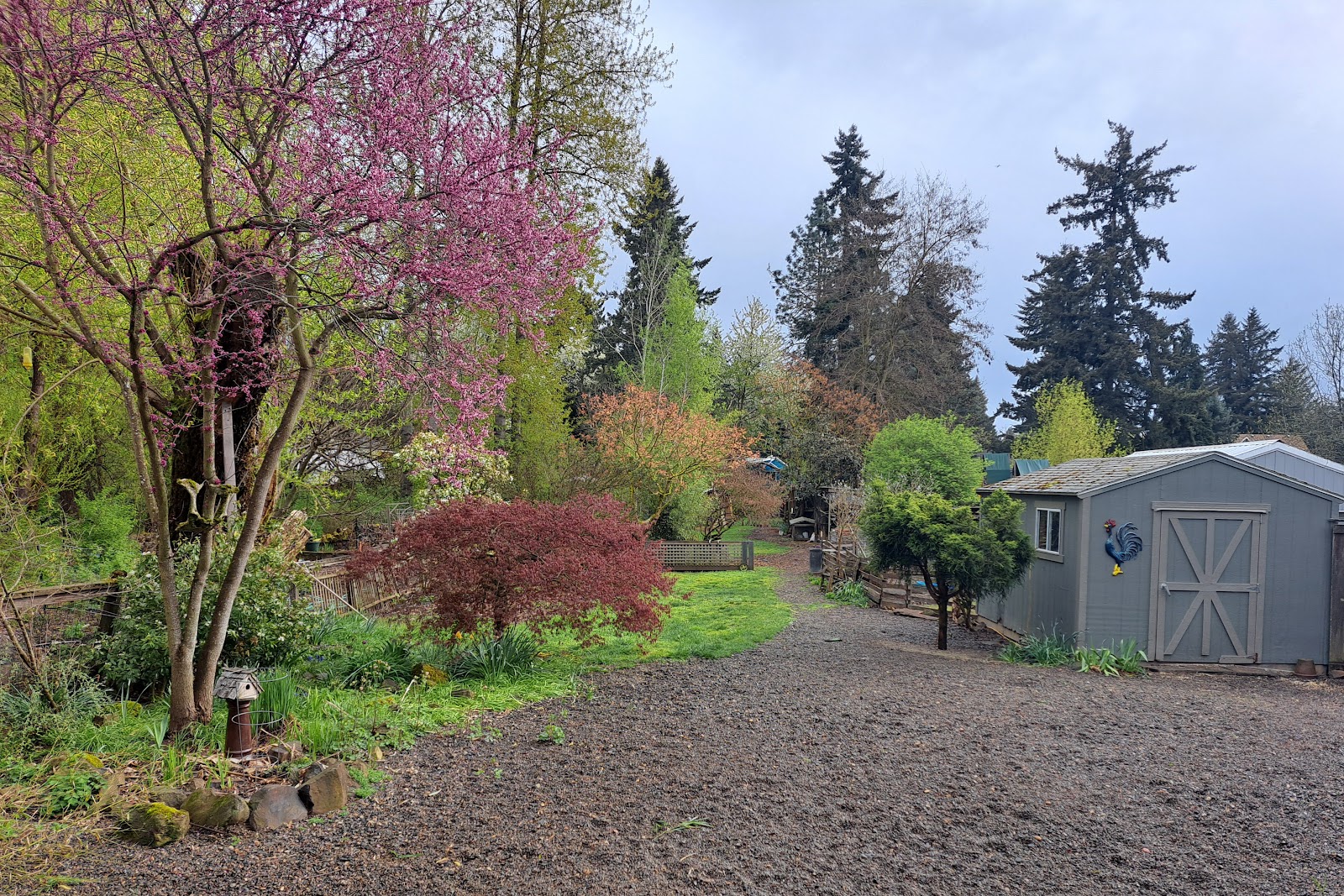 Petlandia Pet Care