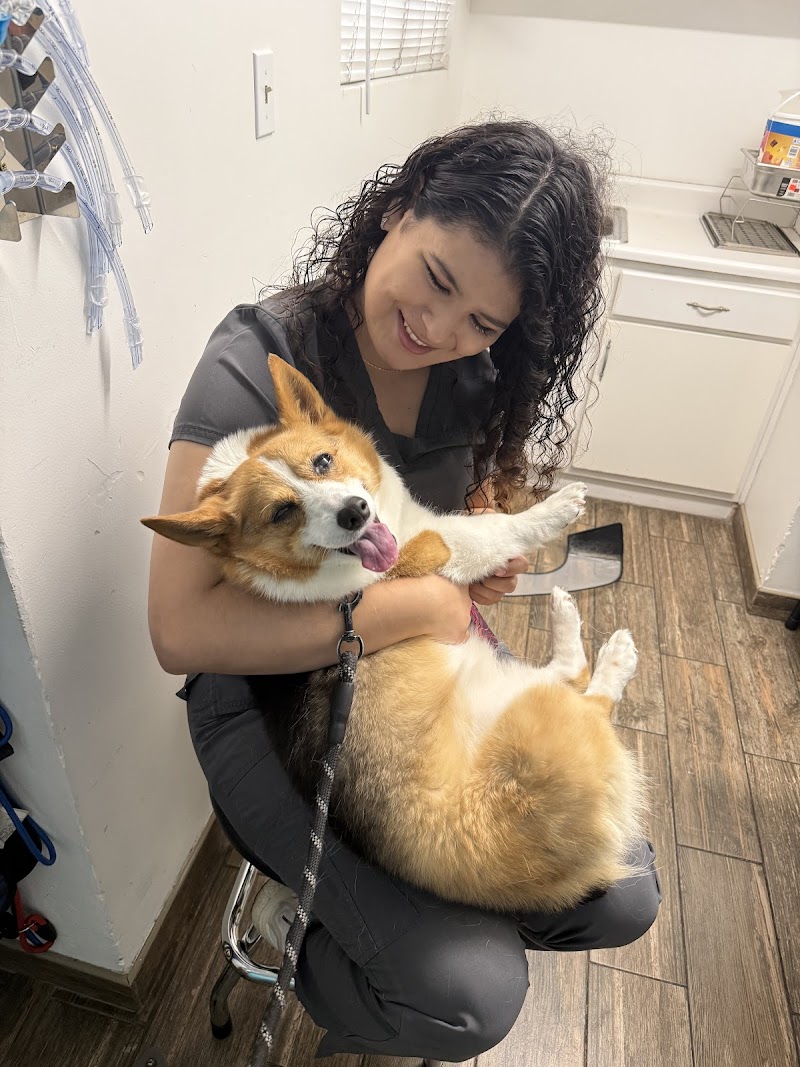 PetMex International Inc photo 2