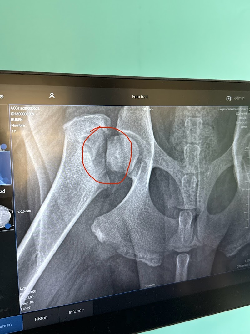 PetMex International Inc photo 3