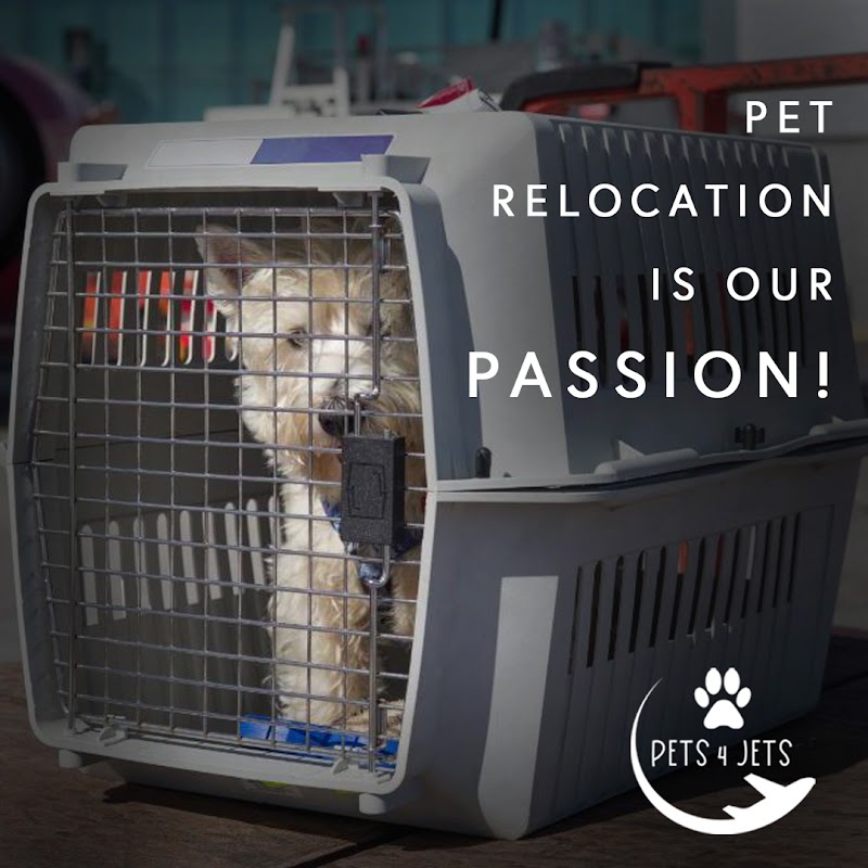 Pets 4 Jets LLC photo 2