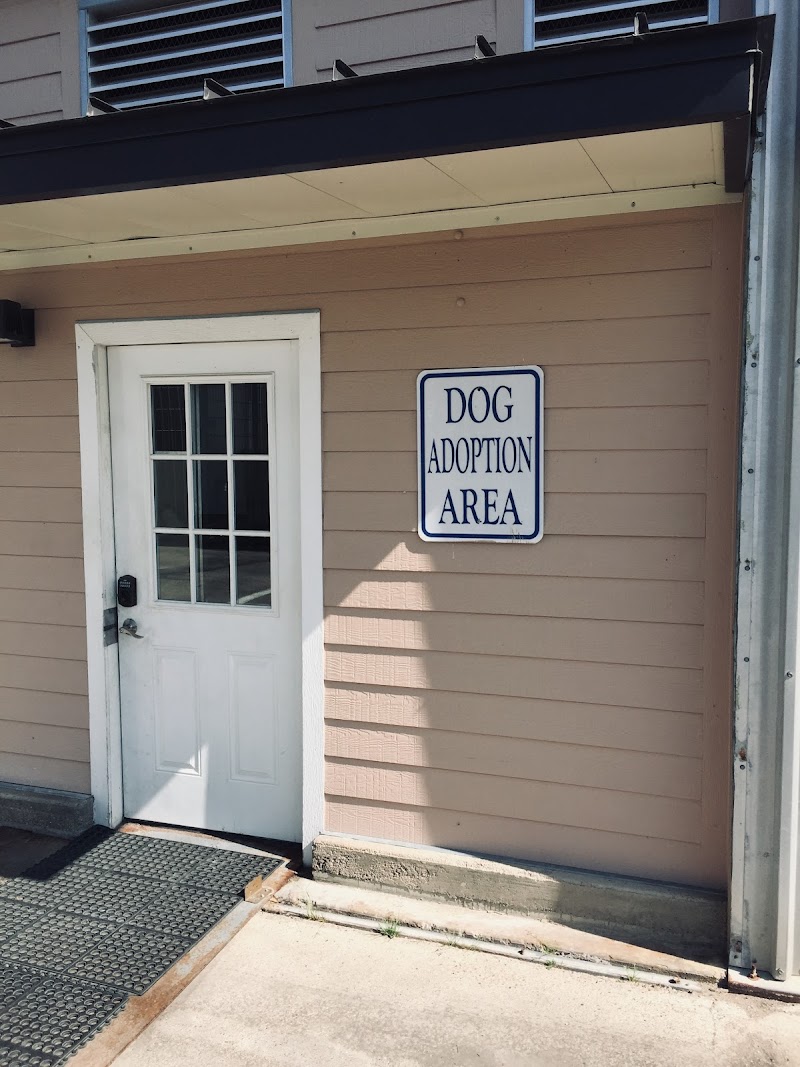 Pflugerville Animal Welfare Services photo 2