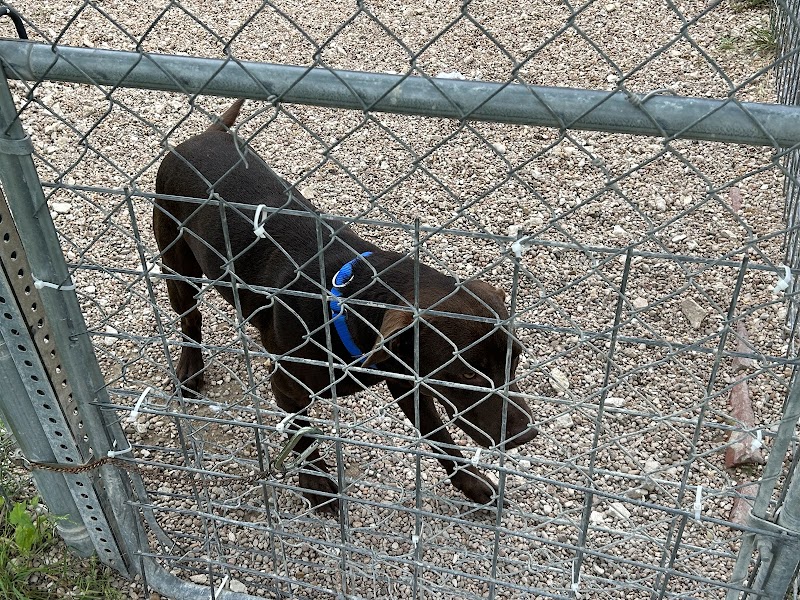 Pflugerville Animal Welfare Services photo 3