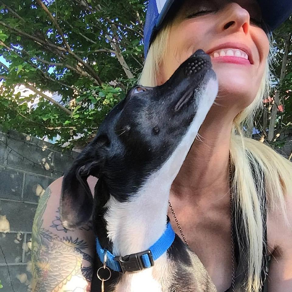 PHL PETS