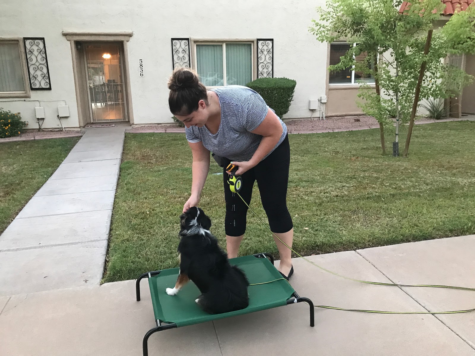 PHOENIX DOG TRAINING AND BEHAVIOR CENTER
