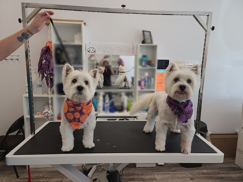 Piggy Tails Pet Spa & More photo 2