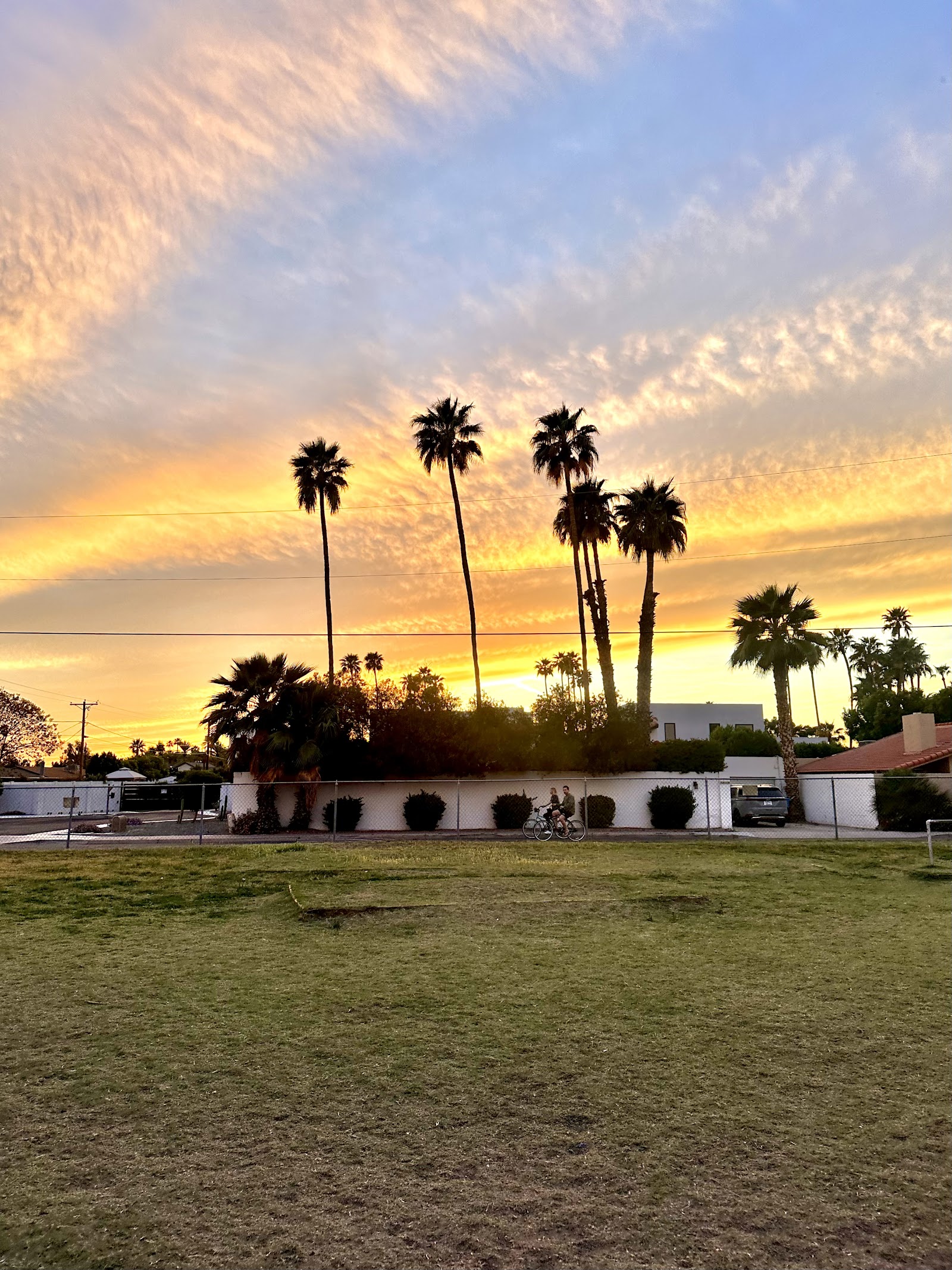 Pomelo Dog Park