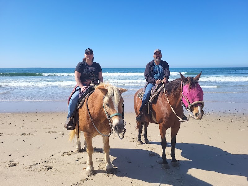 Pony Land: Pony Rides & Petting Zoo