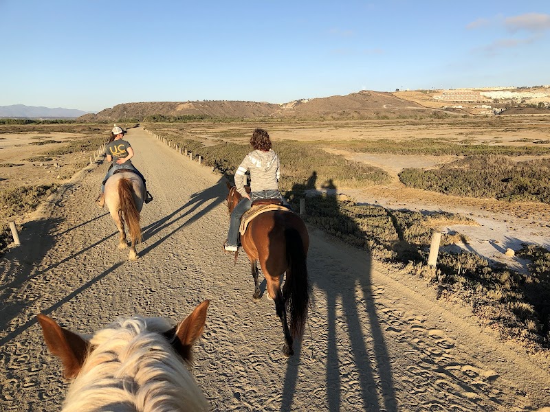 Pony Land: Pony Rides & Petting Zoo photo 2