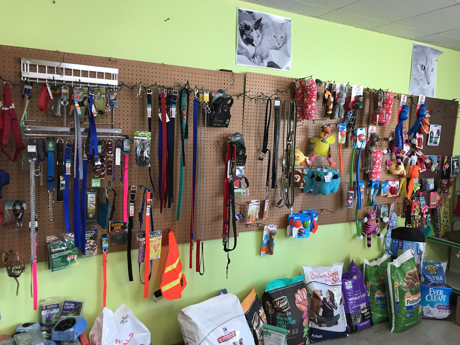 Port Grooming & Pet Care