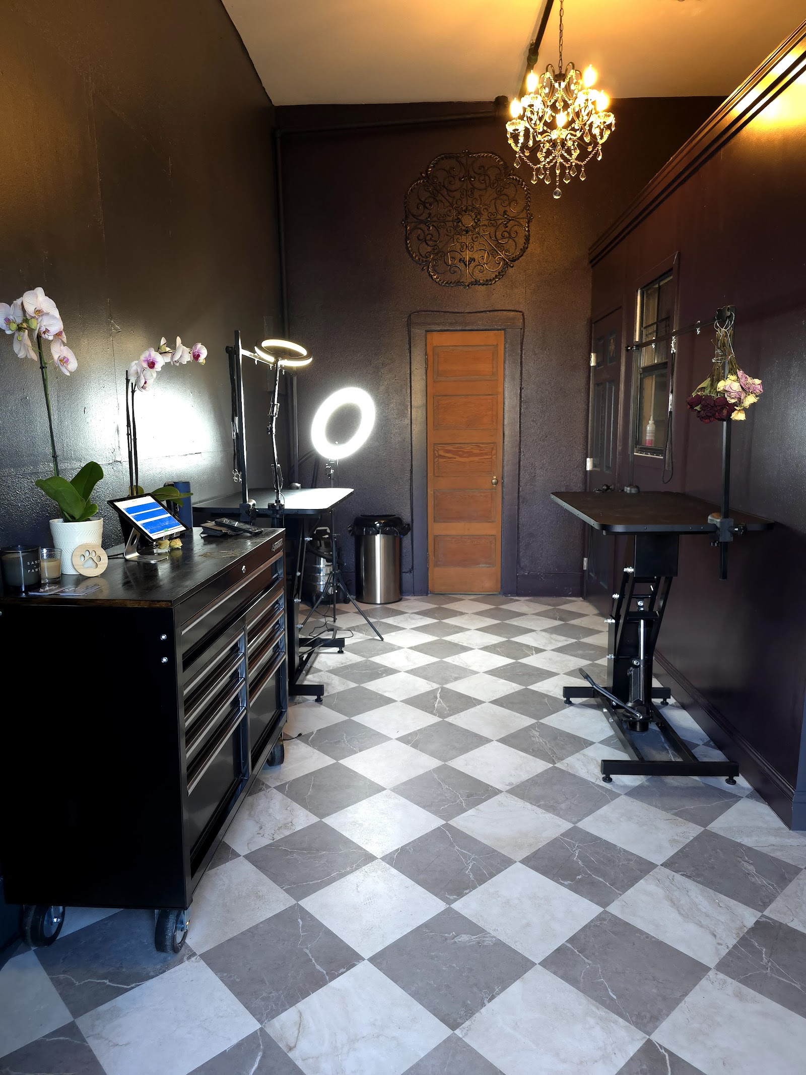 Portland City Pet Groomers