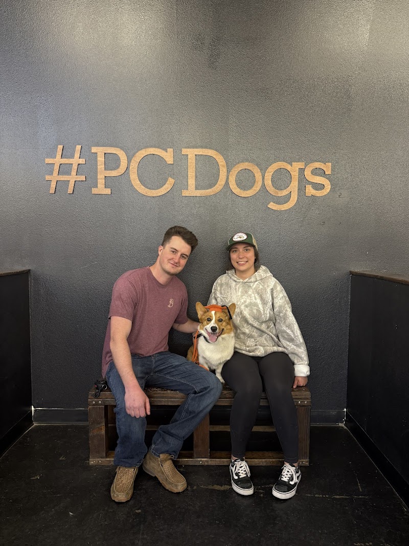 Positive Changes Dog Training photo 3