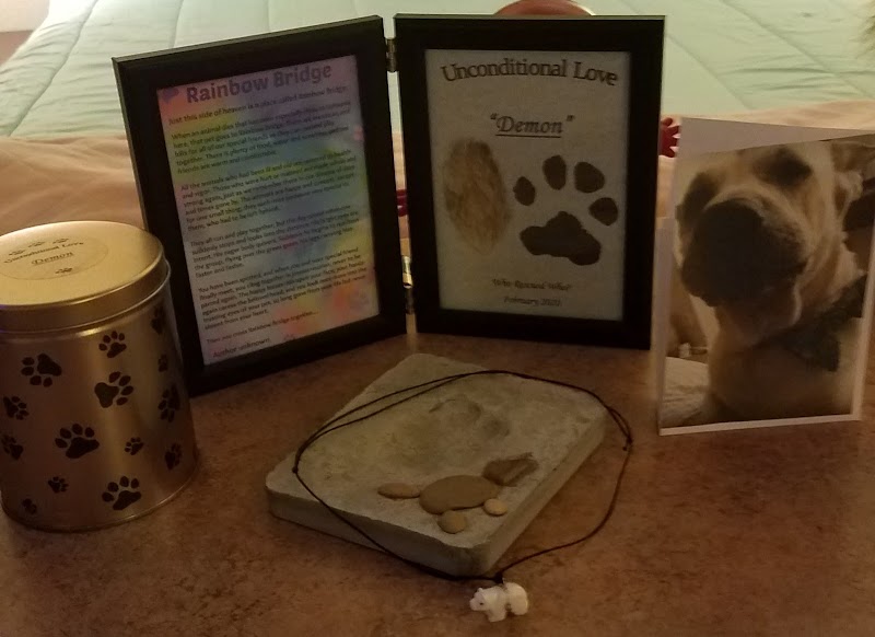 Precious Pets Animal Service photo 2