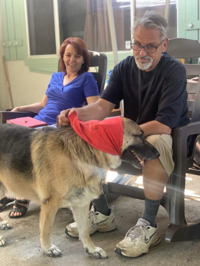 Pro-Train Innovative Dog Training photo 2