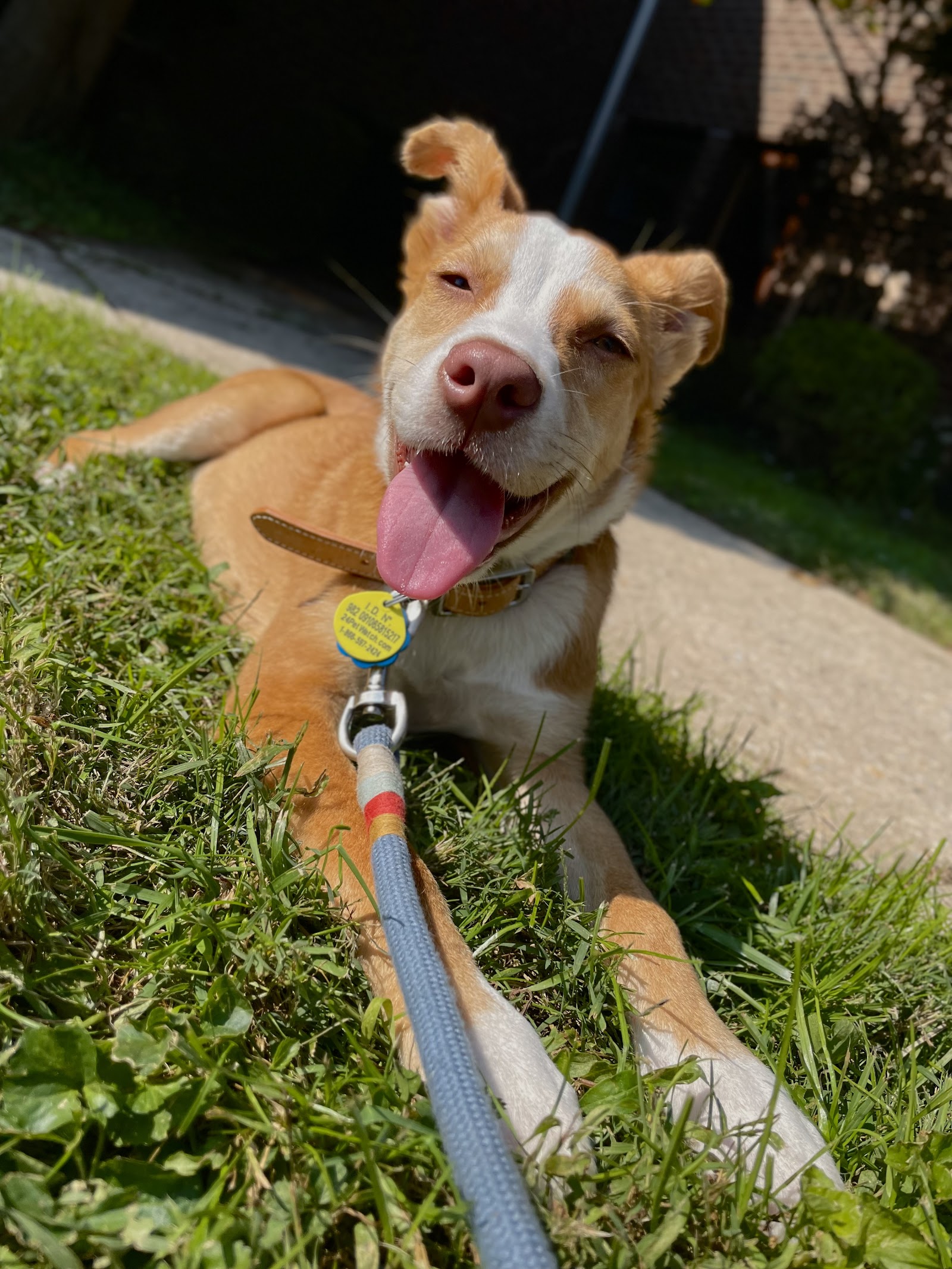 Providence Animal Center