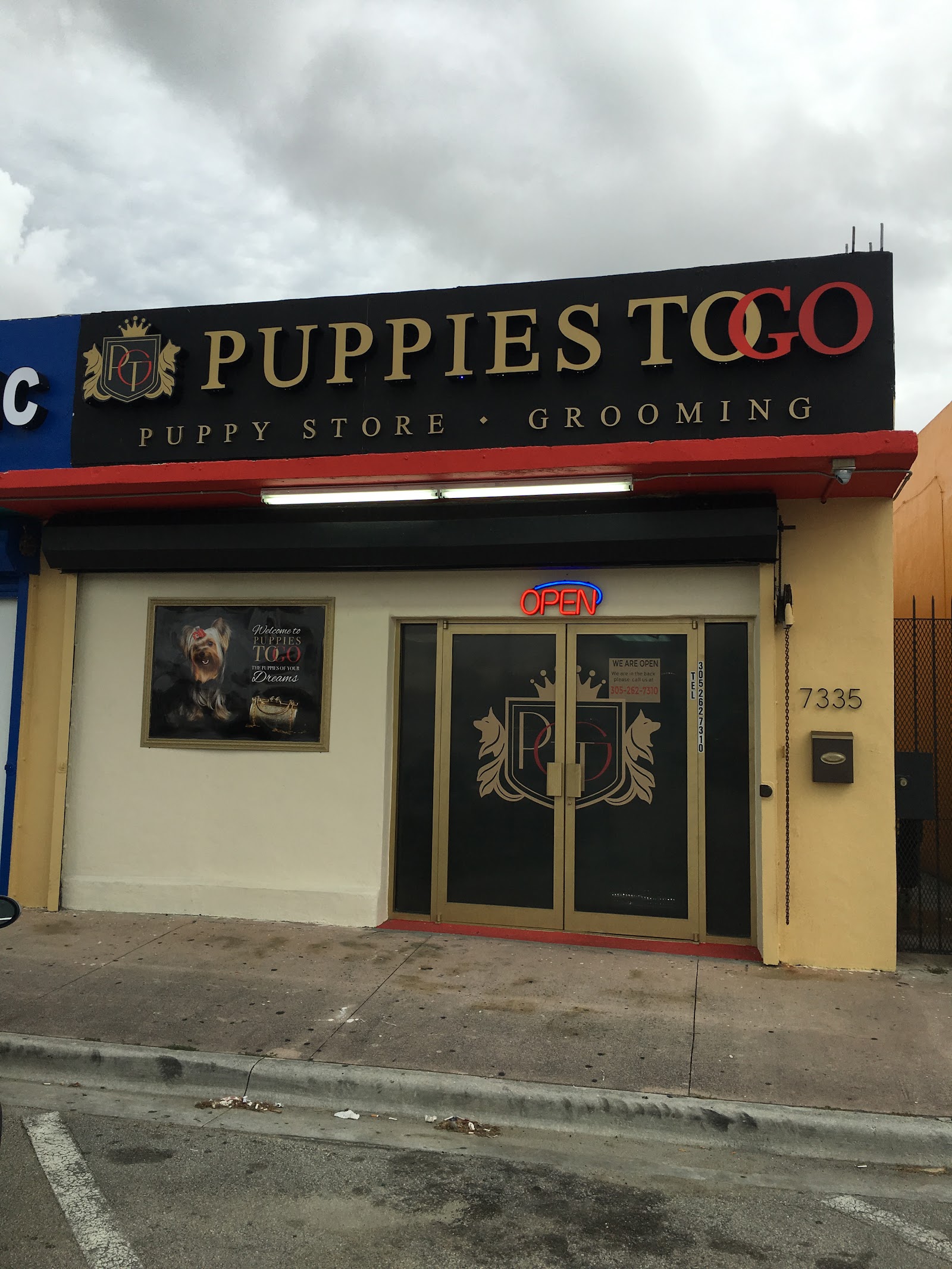 Puppies To Go