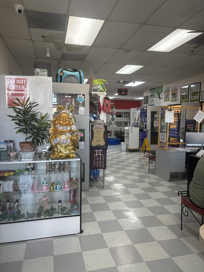 Puppy Boutique Las Vegas photo 2