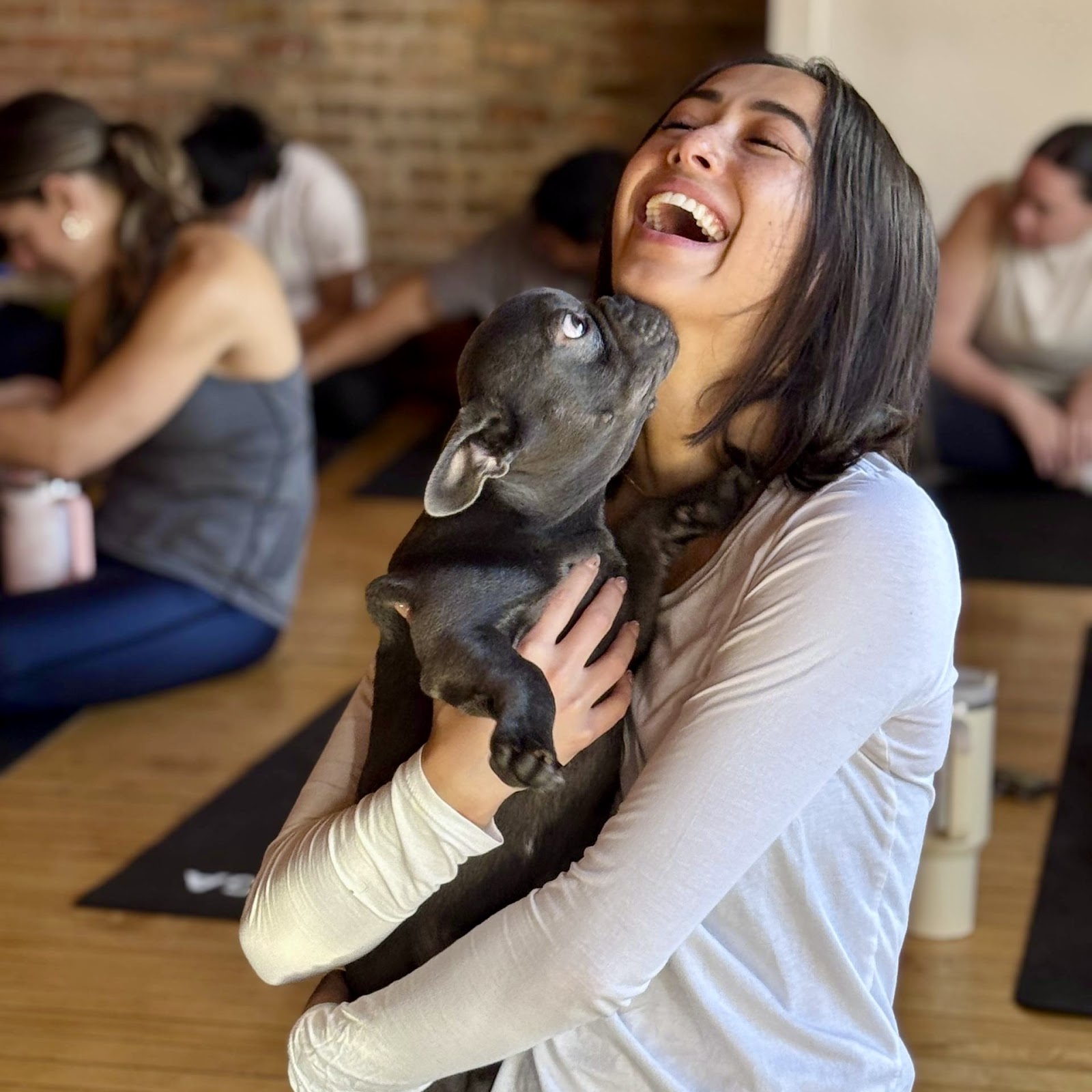 Puppy Yoga USA