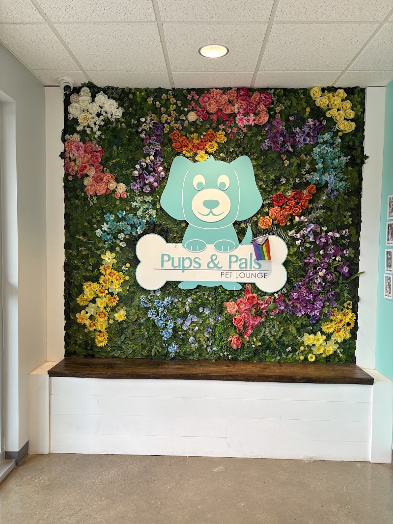 Pups & Pals Pet Lounge photo 3