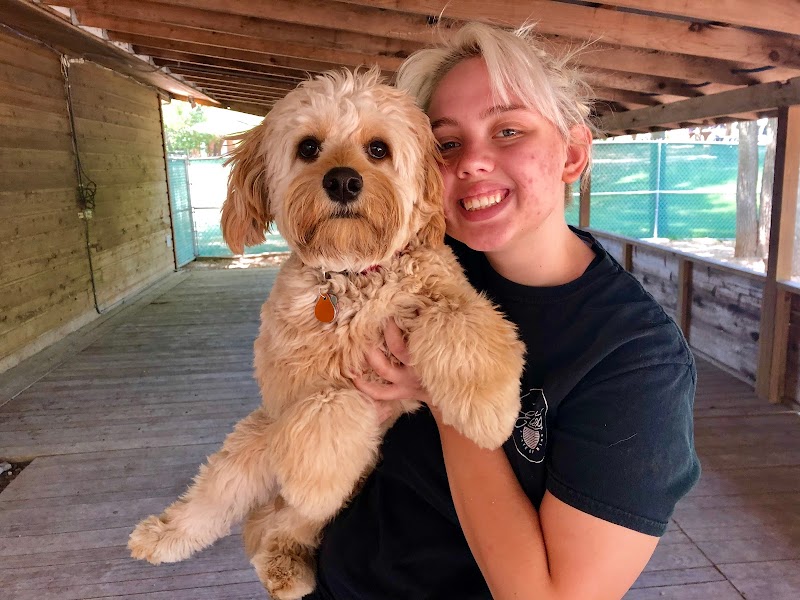 Pups & Pals Pet Lounge - Oak Hill