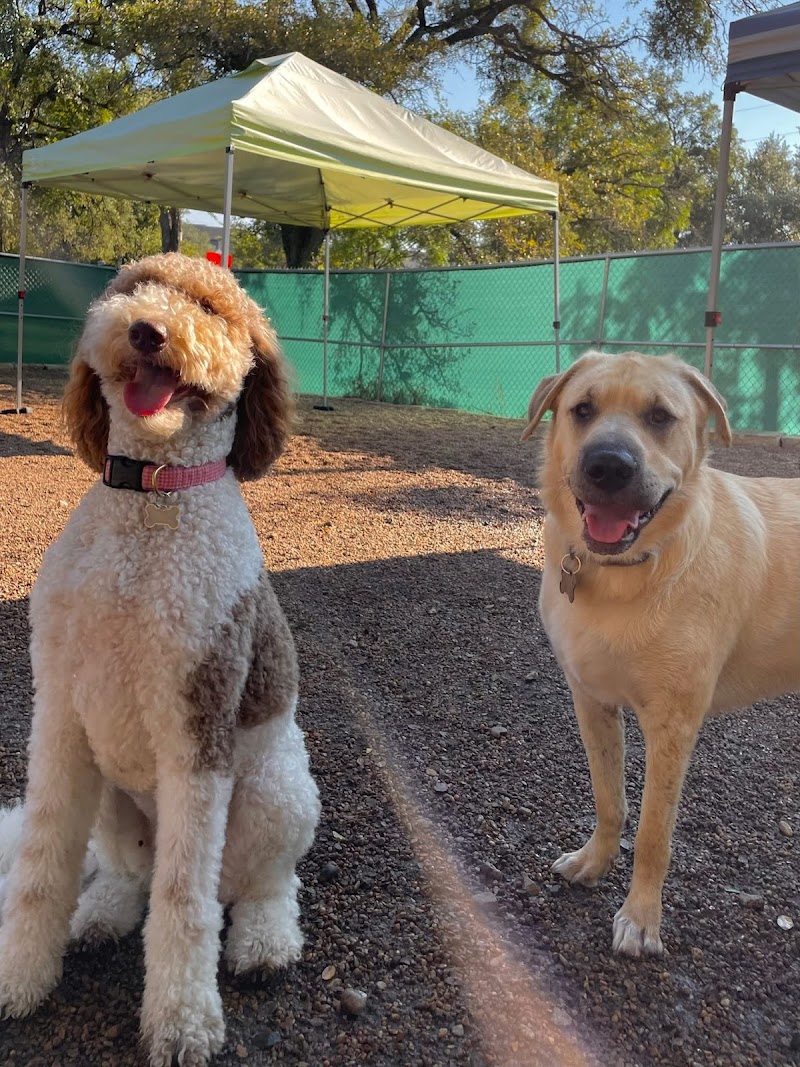 Pups & Pals Pet Lounge - Oak Hill photo 2