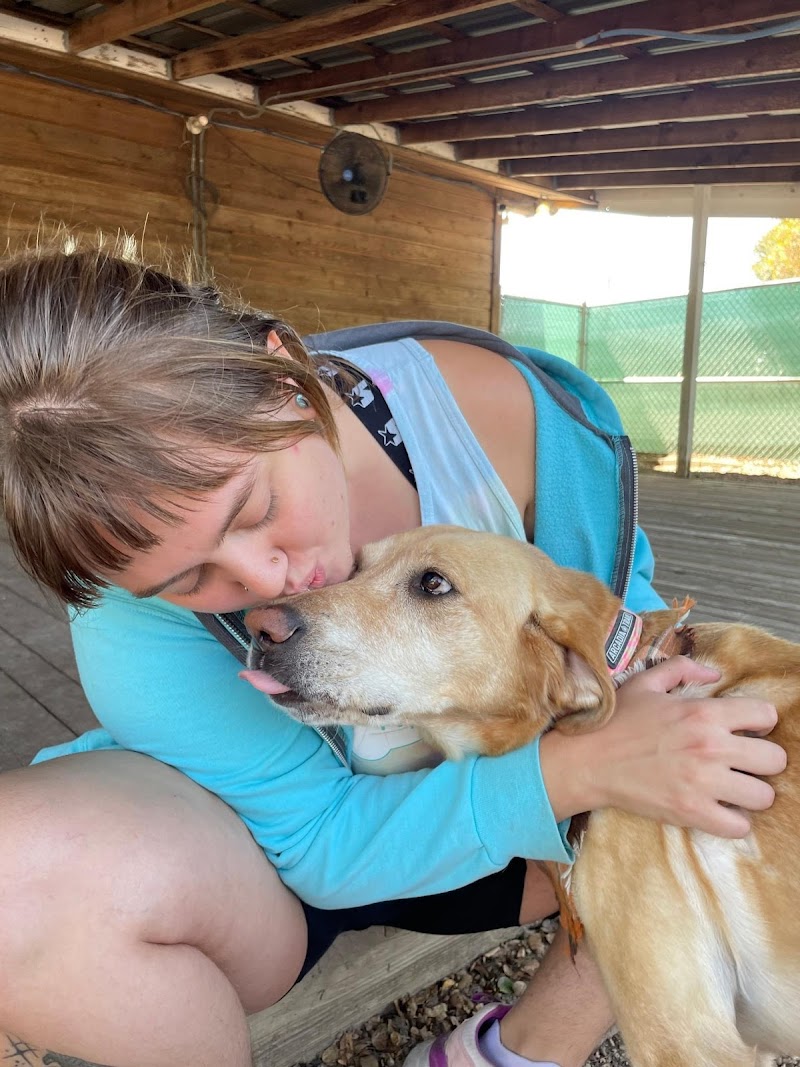 Pups & Pals Pet Lounge - Oak Hill photo 3