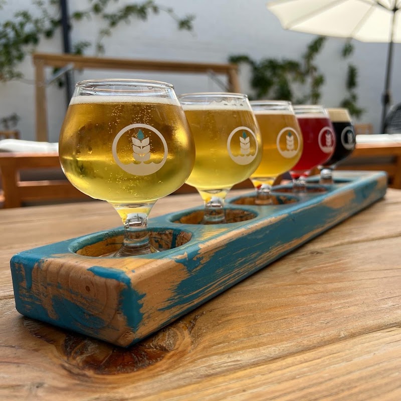 Pure Project North Park photo 3