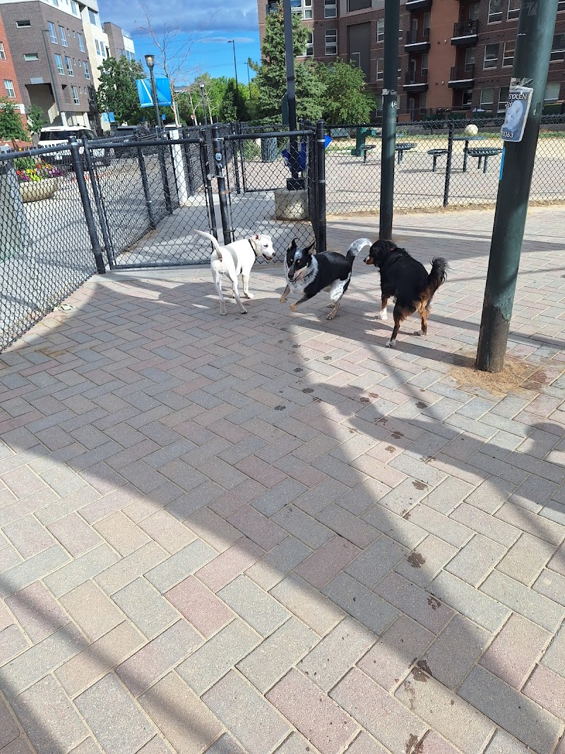 Rail Yard Dog Park photo 2