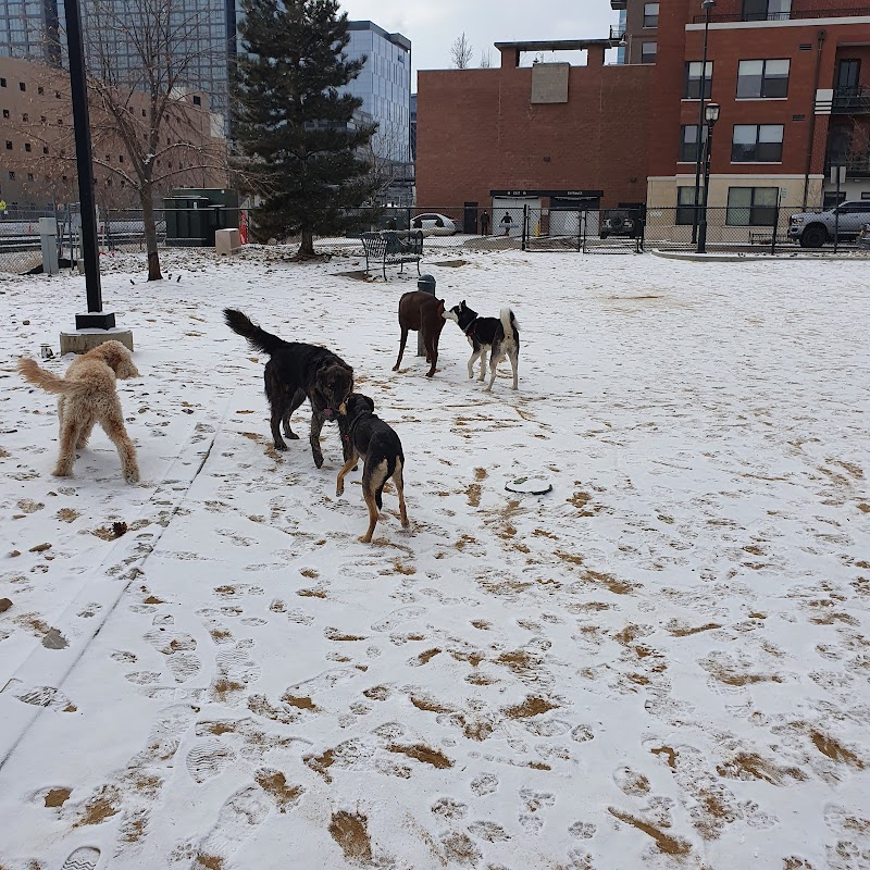 Rail Yard Dog Park photo 3