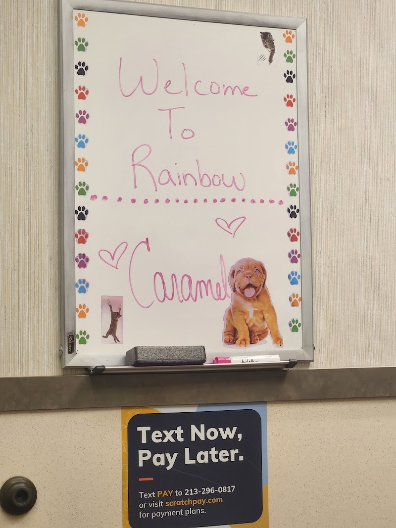 Rainbow Animal Hospital photo 3