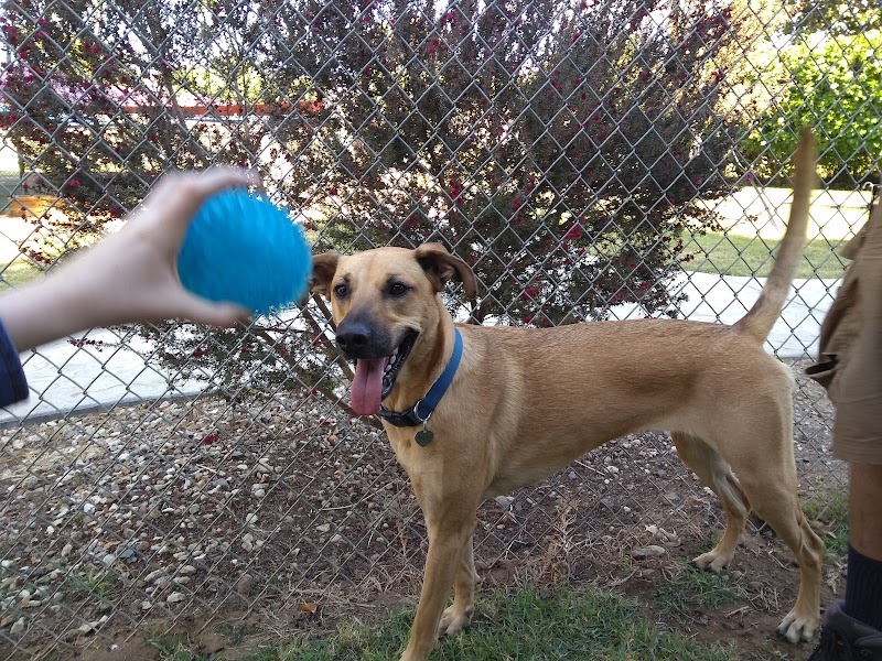 Rancho Coastal Humane Society photo 3