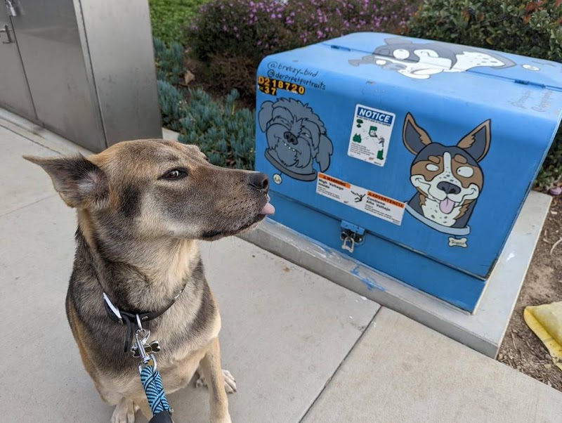 Raquel's Senior Dog Bed & Breakfast photo 3