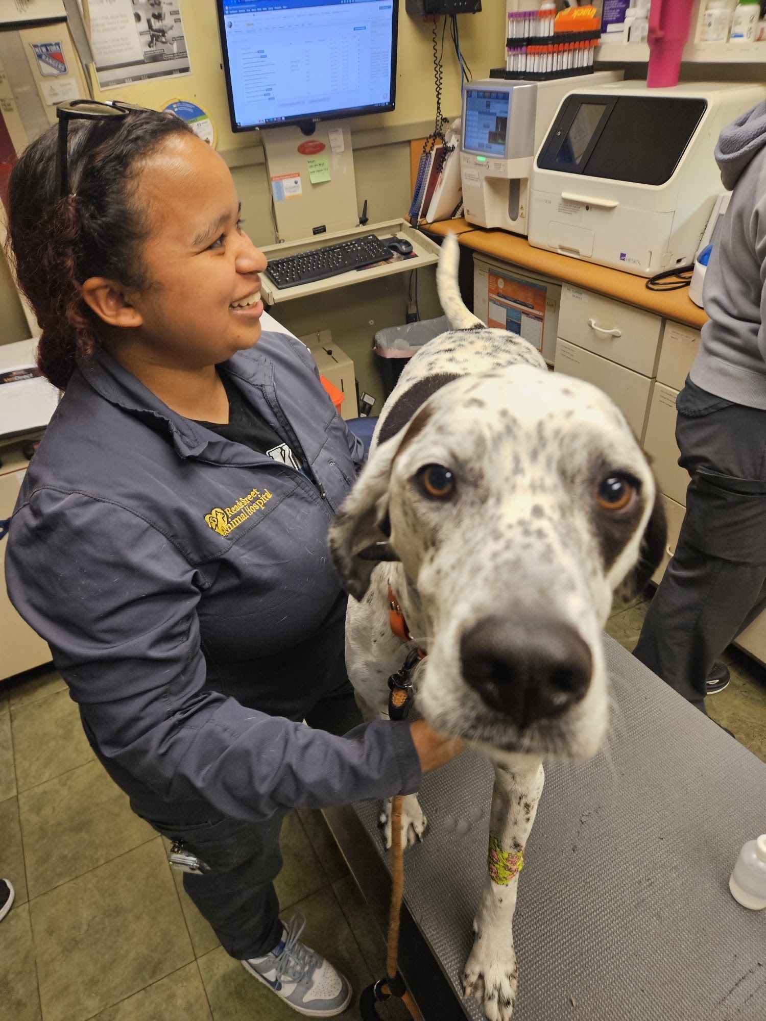 Reade Street Animal Hospital, A Thrive Pet Healthcare Partner