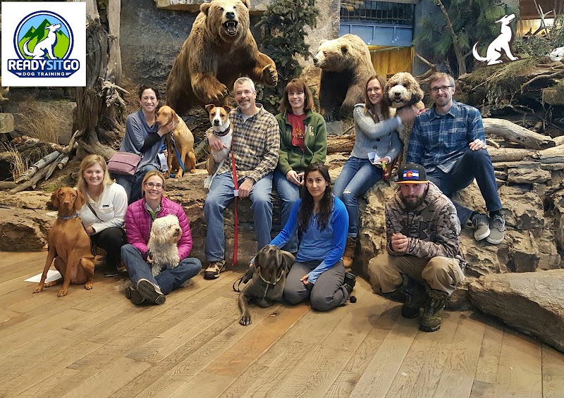Ready Sit Go Dog Training