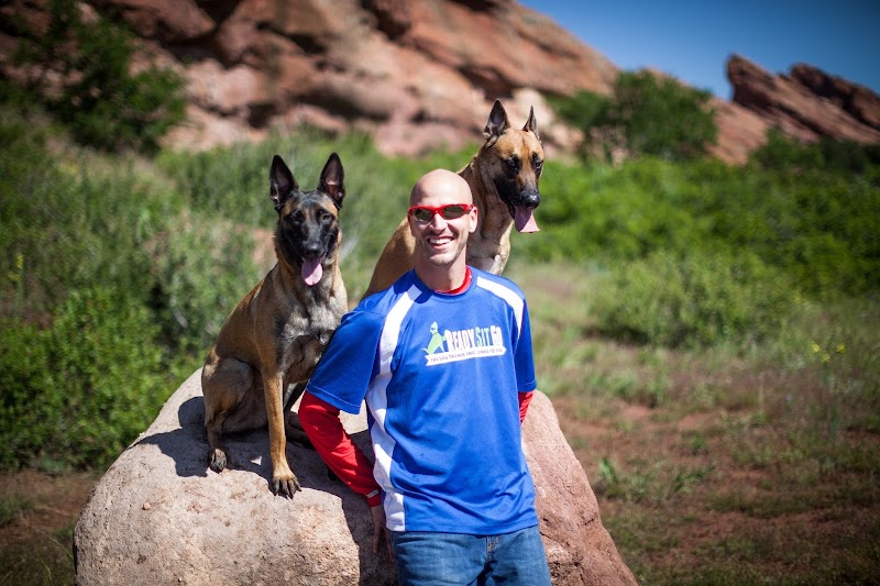 Ready Sit Go Dog Training photo 3