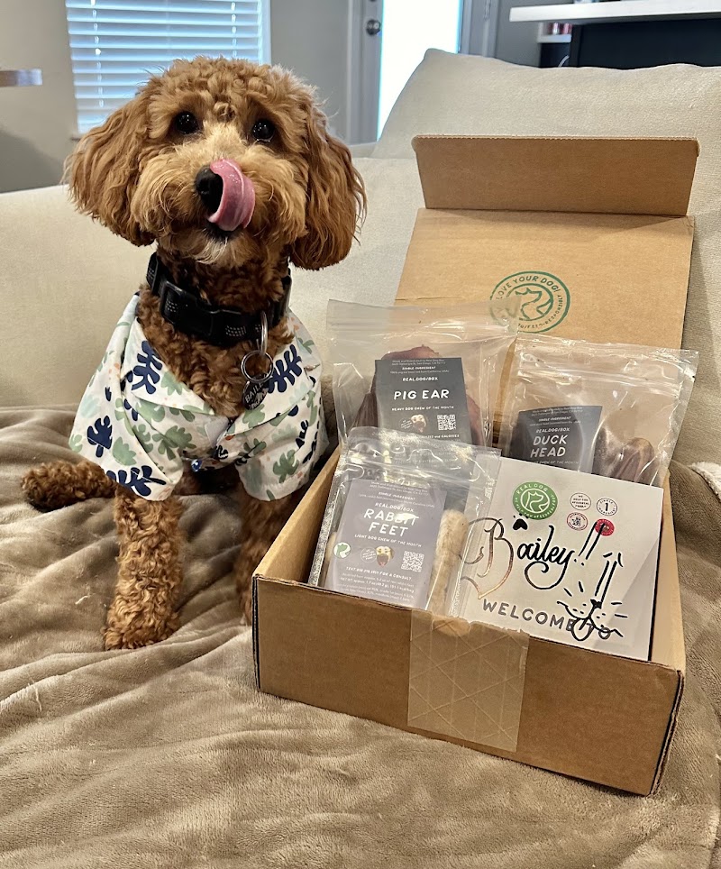 Real Dog Box photo 2